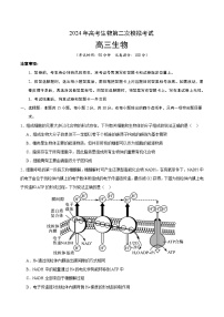 2024年高考第二次模拟考试题:生物(北京卷)(考试版)