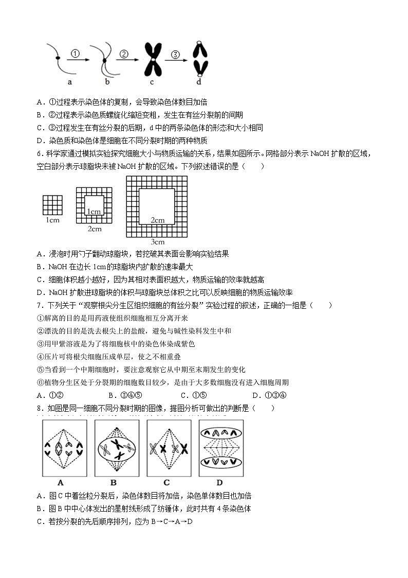 甘肃省兰州市第一中学2023-2024学年高一下学期3月月考生物试题第2页
