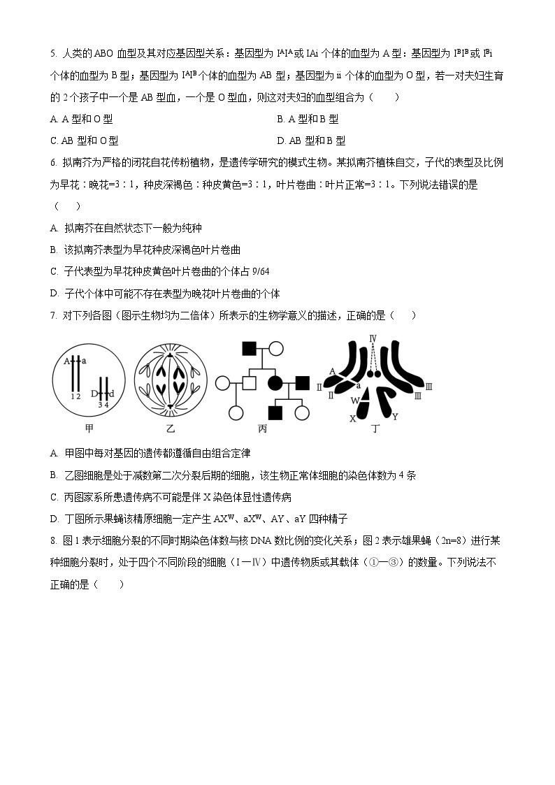 福建省泉州市永春第一中学2023-2024学年高一下学期4月月考生物试题（原卷版+解析版）02