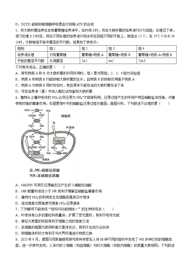 东北三省三校2024届高三下学期4月二模联考生物试题(Word版附解析)第2页