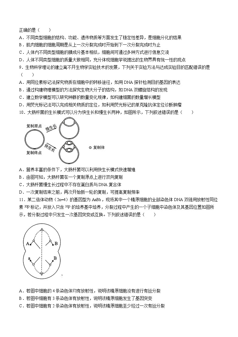东北三省三校2024届高三下学期4月二模联考生物试题(Word版附解析)第3页