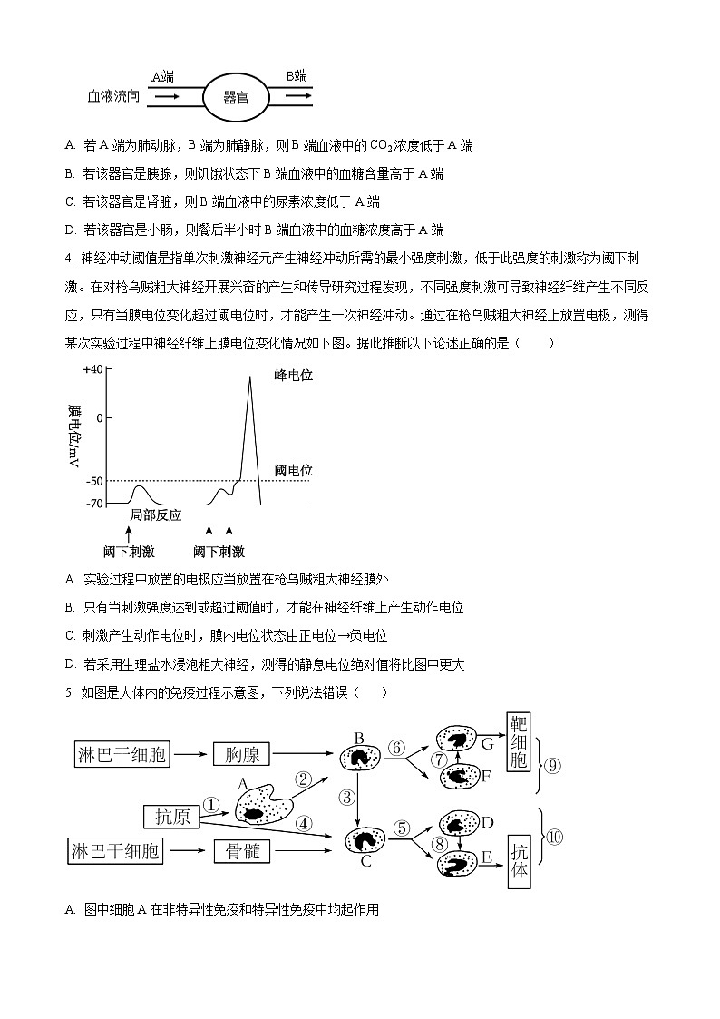 江西省宜春市丰城市第九中学2023-2024学年高二下学期4月月考生物试题(原卷版+解析版)02