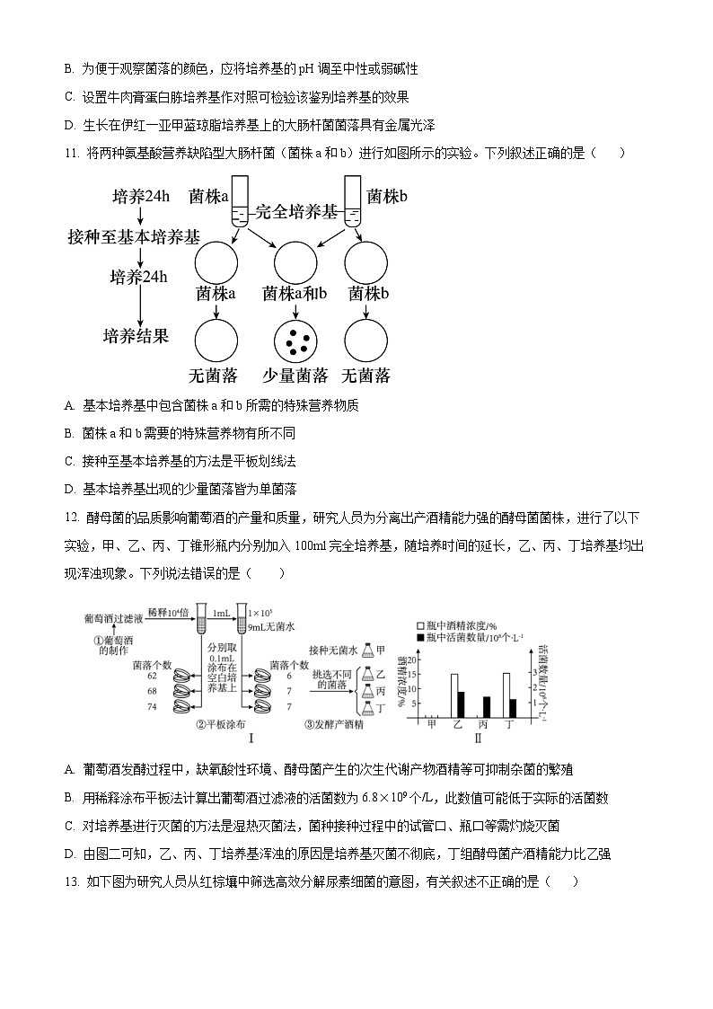 四川省成都列五中2023-2024学年高二下学期4月月考生物试题(原卷版+解析版)03