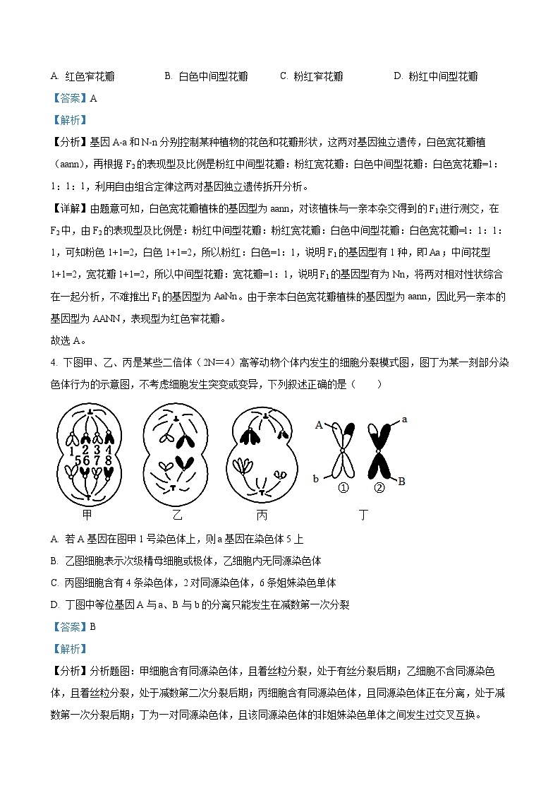 安徽省芜湖市第一中学2022-2023学年高一下学期5月月考生物试卷（Word版附解析）03