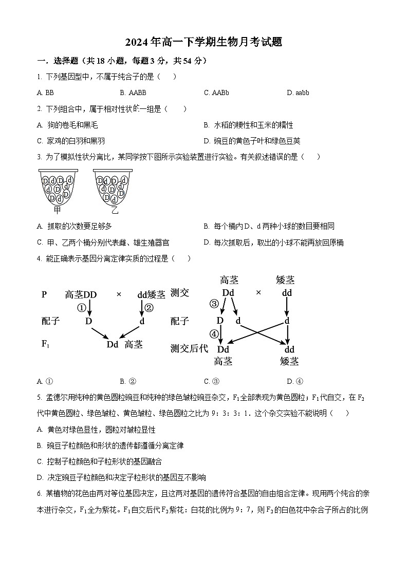 湖南省岳阳市岳阳县第一中学2023-2024学年高一下学期3月月考生物试题 Word版无答案第1页