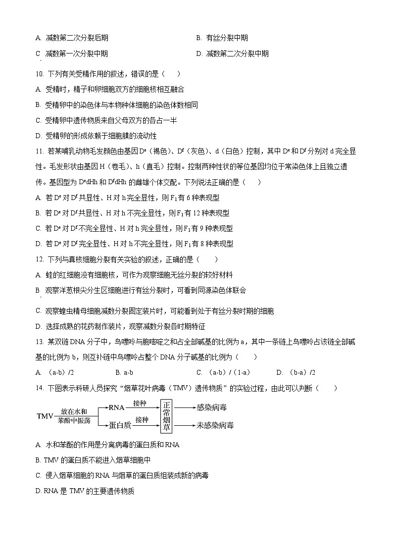 湖南省岳阳市岳阳县第一中学2023-2024学年高一下学期3月月考生物试题 Word版无答案第3页