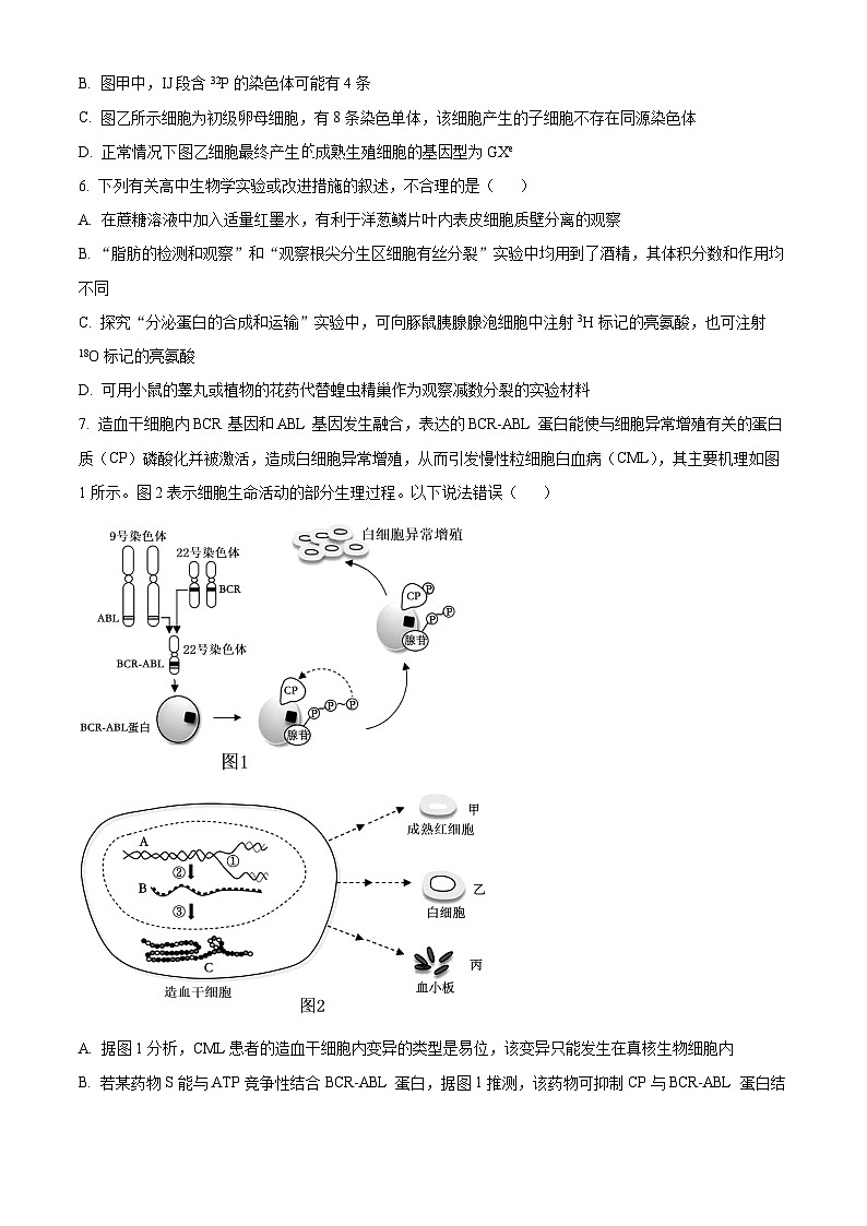 湖南省婁底市2024屆高考三模生物試題 Word版無答案第3頁