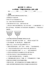 湛江市第二十一中学2023-2024学年高一下学期3月月考生物(选考)试卷(含答案)