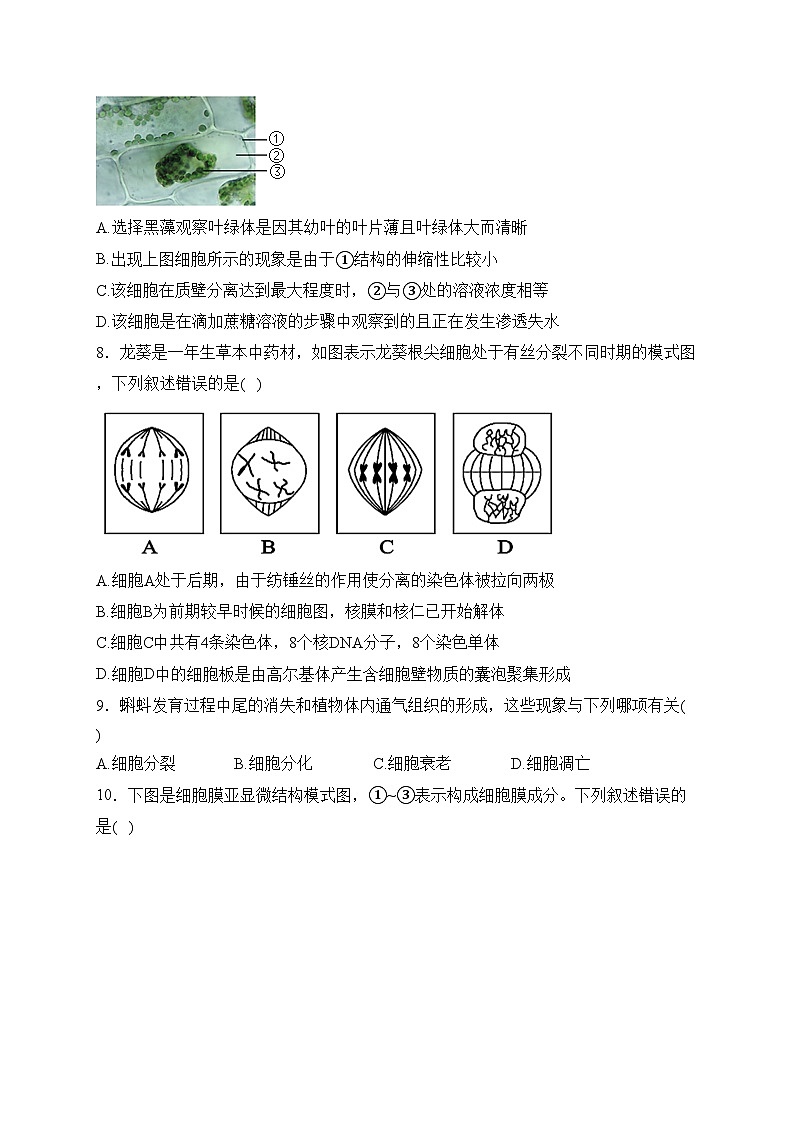 浙江省温州市十校2022-2023学年高一下学期期中联考生物试卷(含答案)02