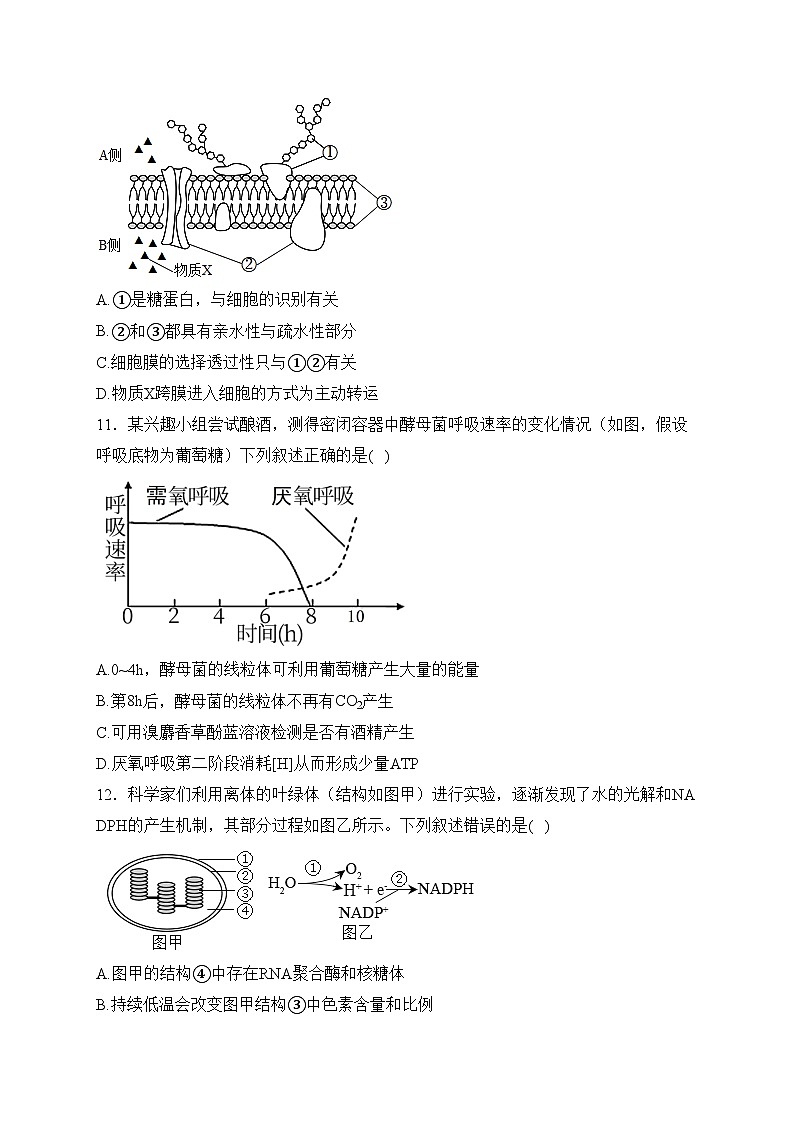浙江省温州市十校2022-2023学年高一下学期期中联考生物试卷(含答案)03