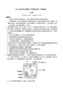 2024年高考第二次模拟考试:生物(海南卷)(考试版)