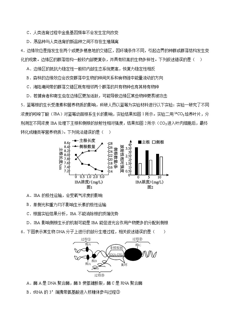 2024年高考第二次模拟考试:生物(江苏卷)(考试版)第2页