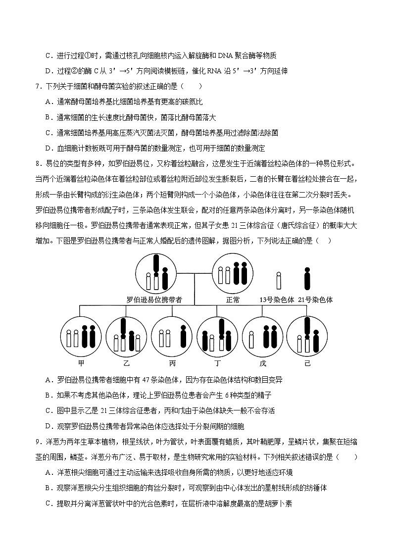 2024年高考第二次模拟考试:生物(江苏卷)(考试版)第3页