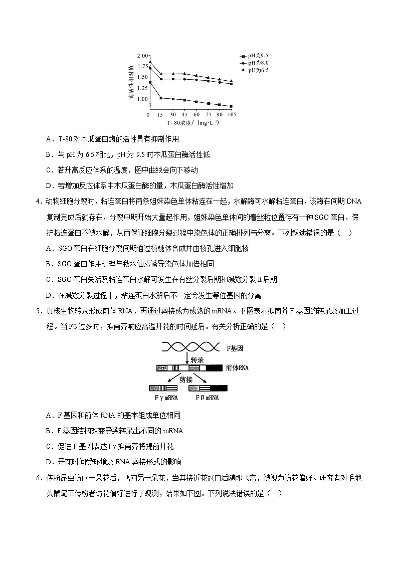 2024年高考第二次模拟考试:生物(重庆卷)(考试版)第2页