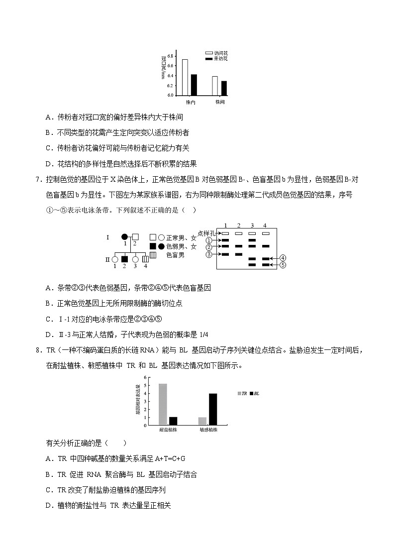 2024年高考第二次模拟考试:生物(重庆卷)(考试版)第3页