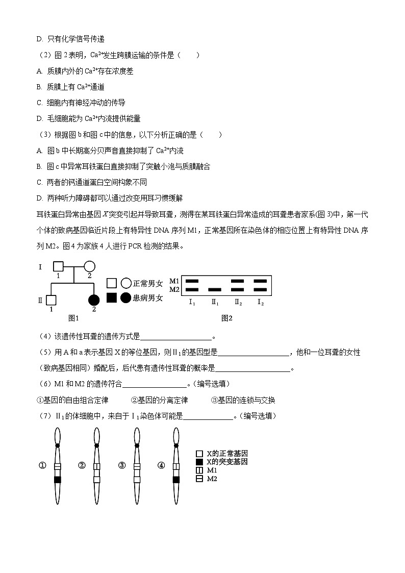 2024上海长宁区高三下学期二模试题生物含解析03