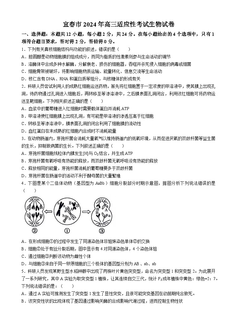 江西省宜春市2024届高三下学期适应性考试生物试卷(Word版附解析)第1页