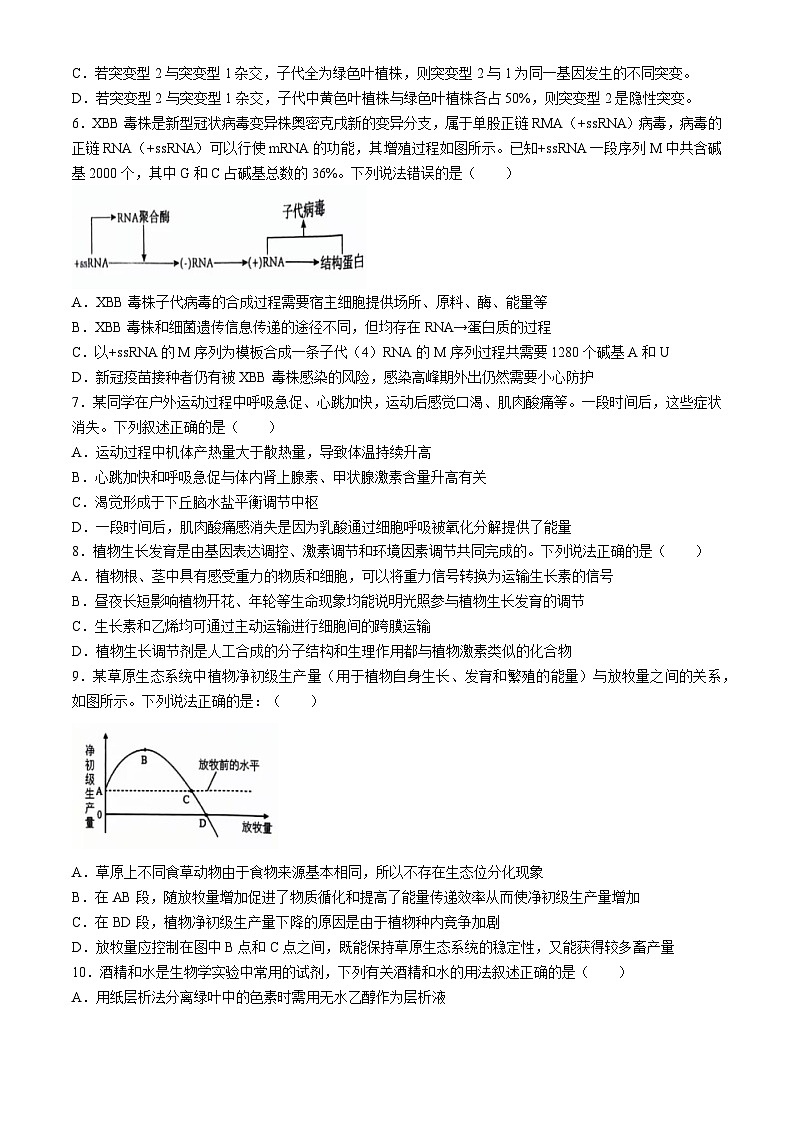 江西省宜春市2024届高三下学期适应性考试生物试卷(Word版附解析)第2页