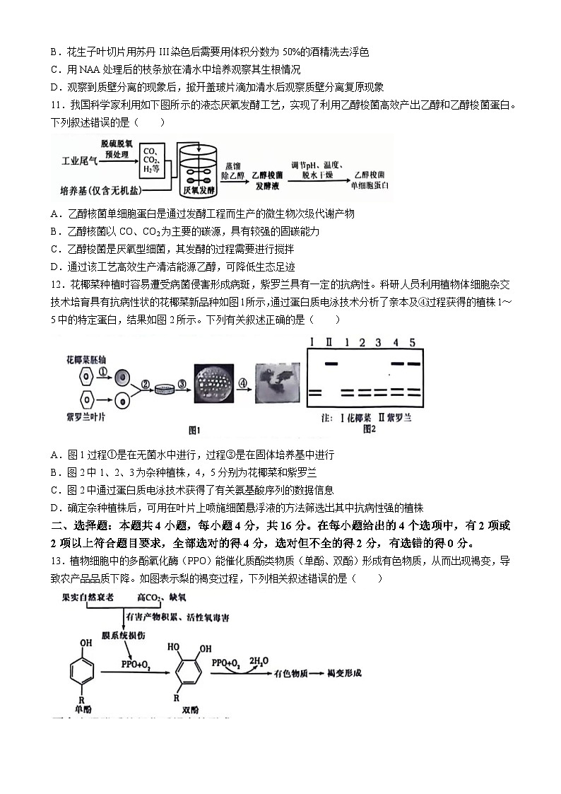 江西省宜春市2024届高三下学期适应性考试生物试卷(Word版附解析)第3页
