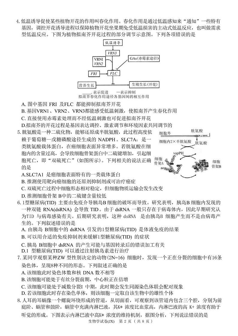 湖南省新高考教学教研联盟2024届高三下学期4月第二次联考生物试题(PDF版附解析)02
