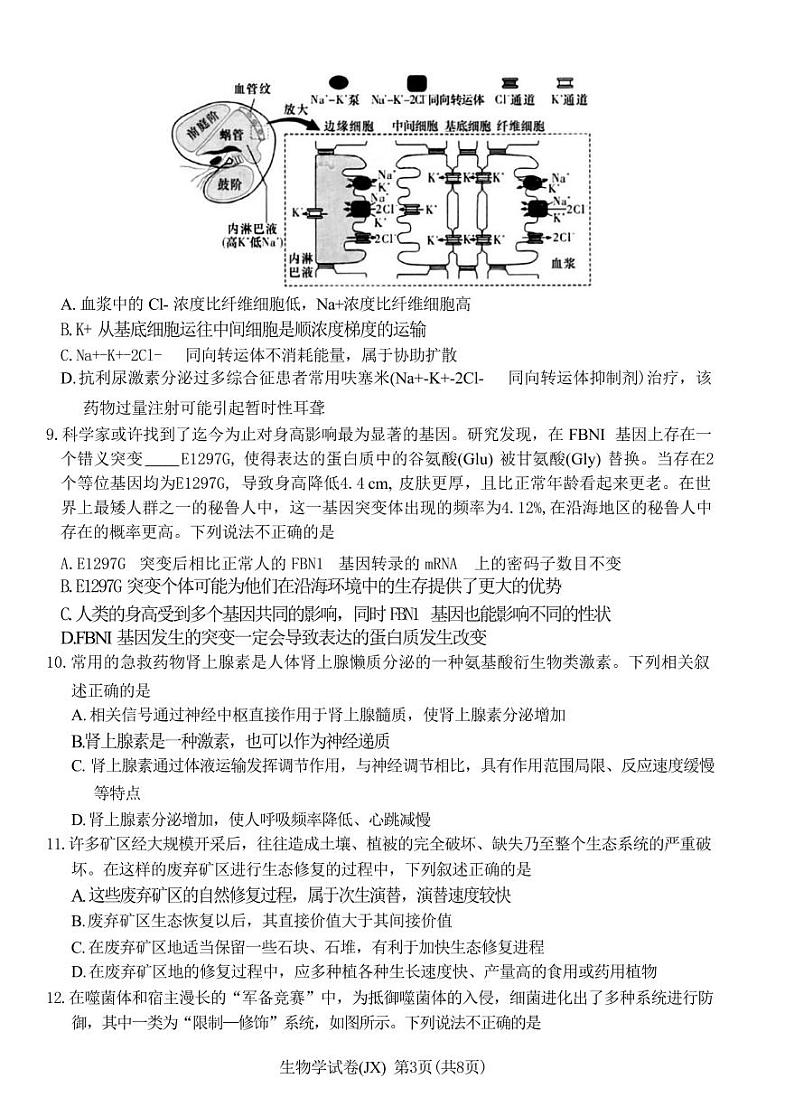 湖南省新高考教学教研联盟2024届高三下学期4月第二次联考生物试题(PDF版附解析)03