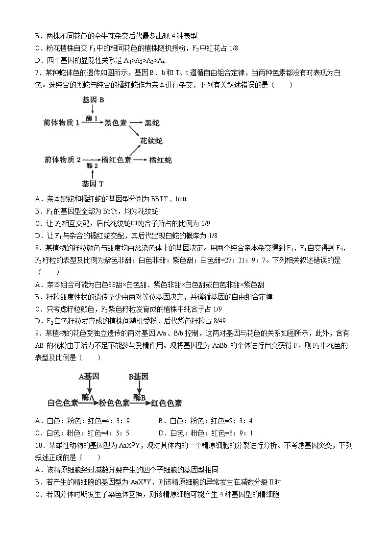 江苏省南通市海安高级中学2023-2024学年高一下学期第一次月考生物试题第2页