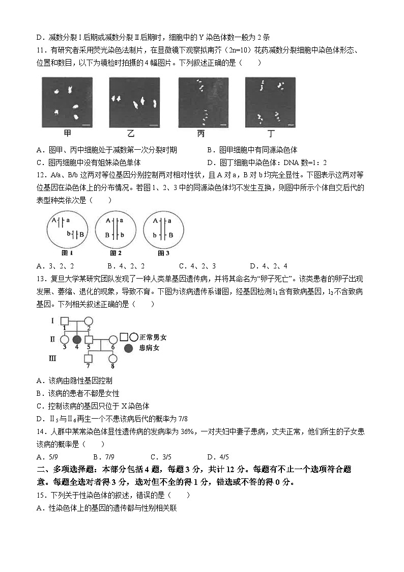 江苏省南通市海安高级中学2023-2024学年高一下学期第一次月考生物试题第3页