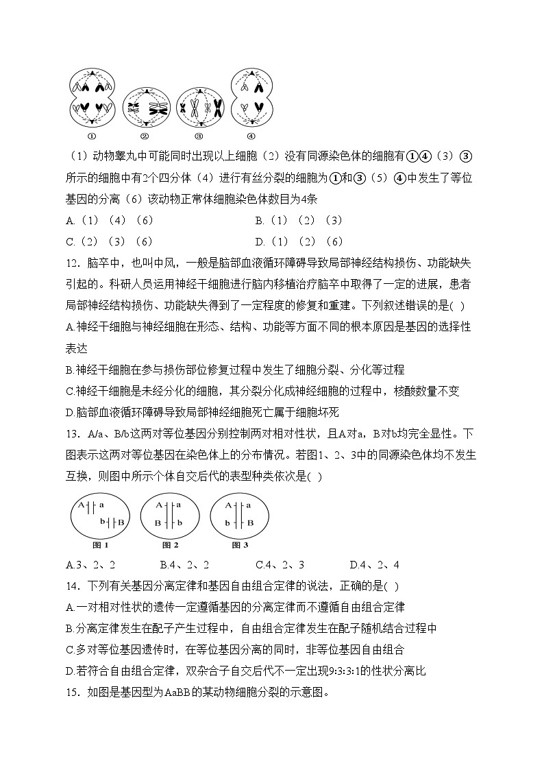 福建省泉州市三校2022-2023学年高一4月期中联考生物试卷(含答案)03