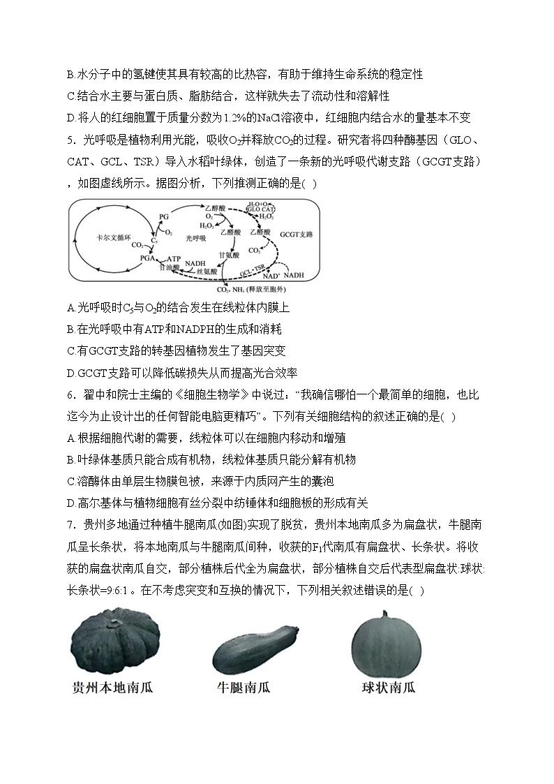 广东省阳江市2023-2024学年高二上学期1月期末测试生物试卷(含答案)02