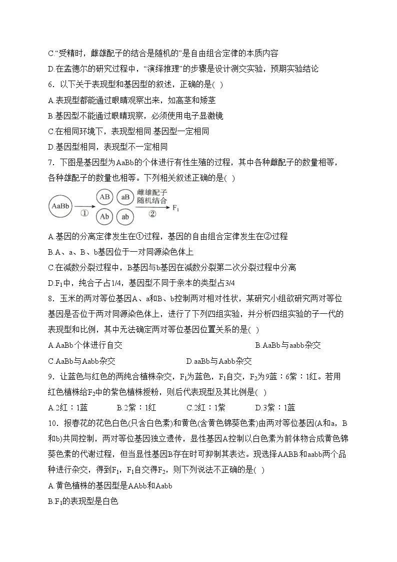河南省郑州市六校2022-2023学年高一下学期4月期中考试生物试卷(含答案)02