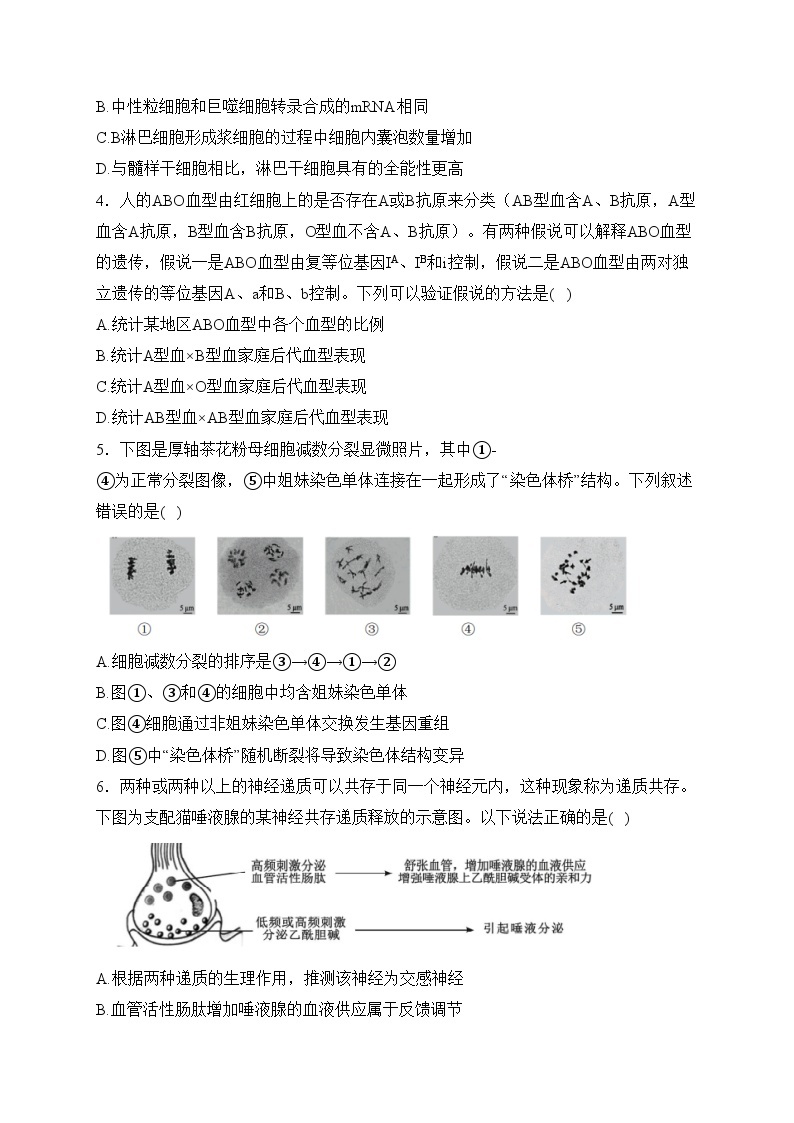 湖南省长沙市2024届高三上学期1月新高考适应性考试生物试卷(含答案)02
