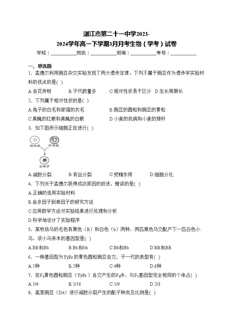 湛江市第二十一中学2023-2024学年高一下学期3月月考生物(学考)试卷第1页