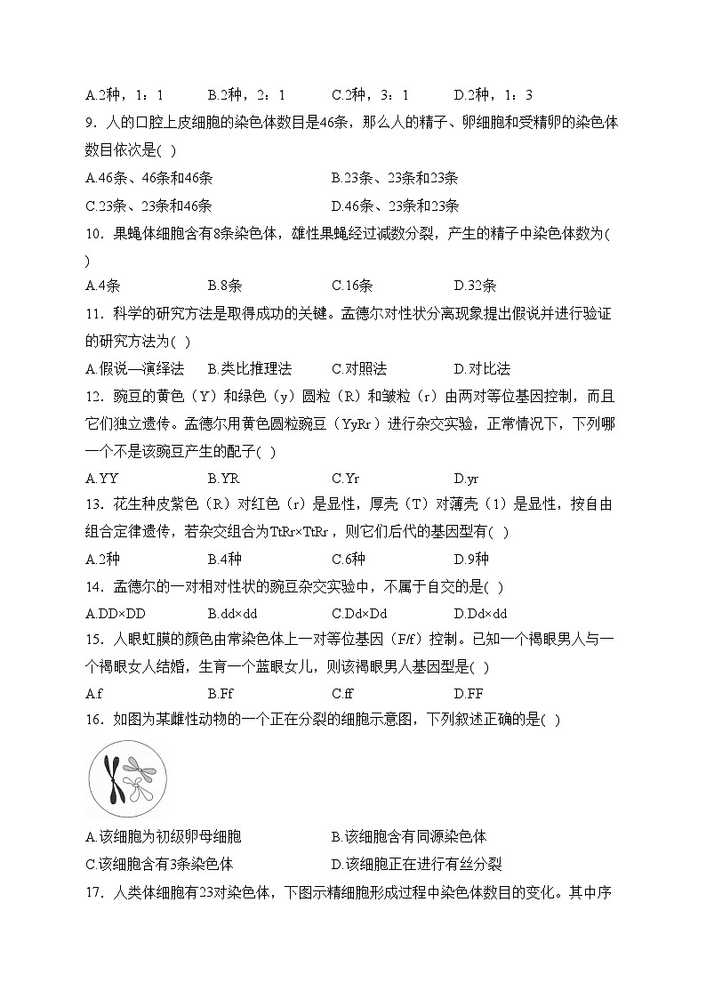 湛江市第二十一中学2023-2024学年高一下学期3月月考生物(学考)试卷第2页