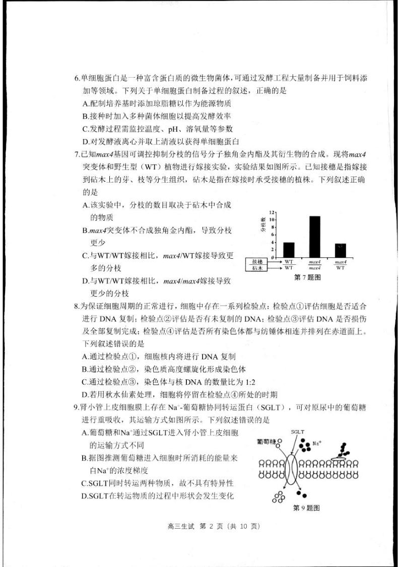 2024届浙江省杭州市高三下学期教学质量检测（二模）生物试题+02