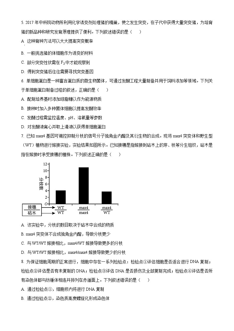 2024届浙江省杭州市高三下学期二模生物试题 (原卷版)第2页