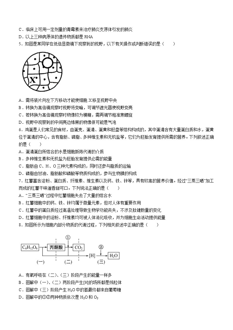 四川省成都外国语学校2023-2024学年高二下学期3月月考生物试题（Word版附答案）02