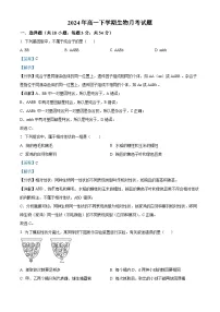 湖南省岳阳市岳阳县第一中学2023-2024学年高一下学期3月月考生物试卷(Word版附解析)