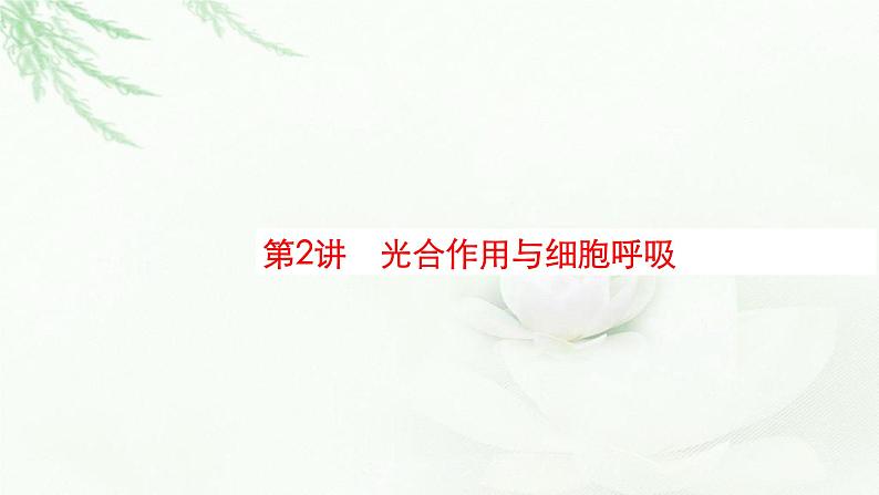 新教材高考生物二轮复习专题二细胞代谢第二讲光合作用与细胞呼吸课件第1页