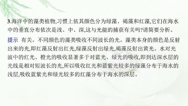 新教材高考生物二轮复习专题二细胞代谢第二讲光合作用与细胞呼吸课件第7页