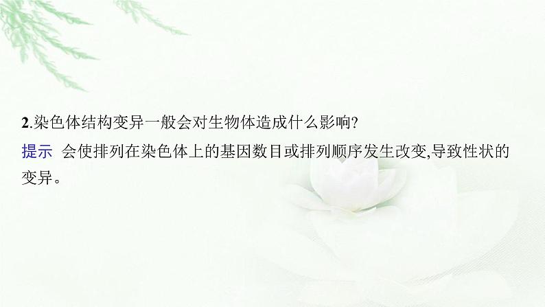 新教材高考生物二轮复习专题六生物变异、育种与进化课件第6页