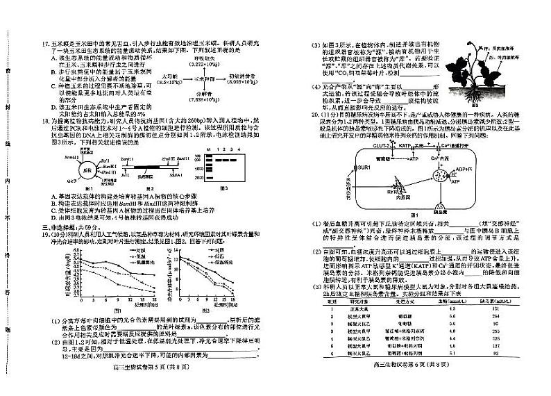河北省保定市2024届高三下学期第一次模拟考试生物试卷(PDF版附答案)第3页