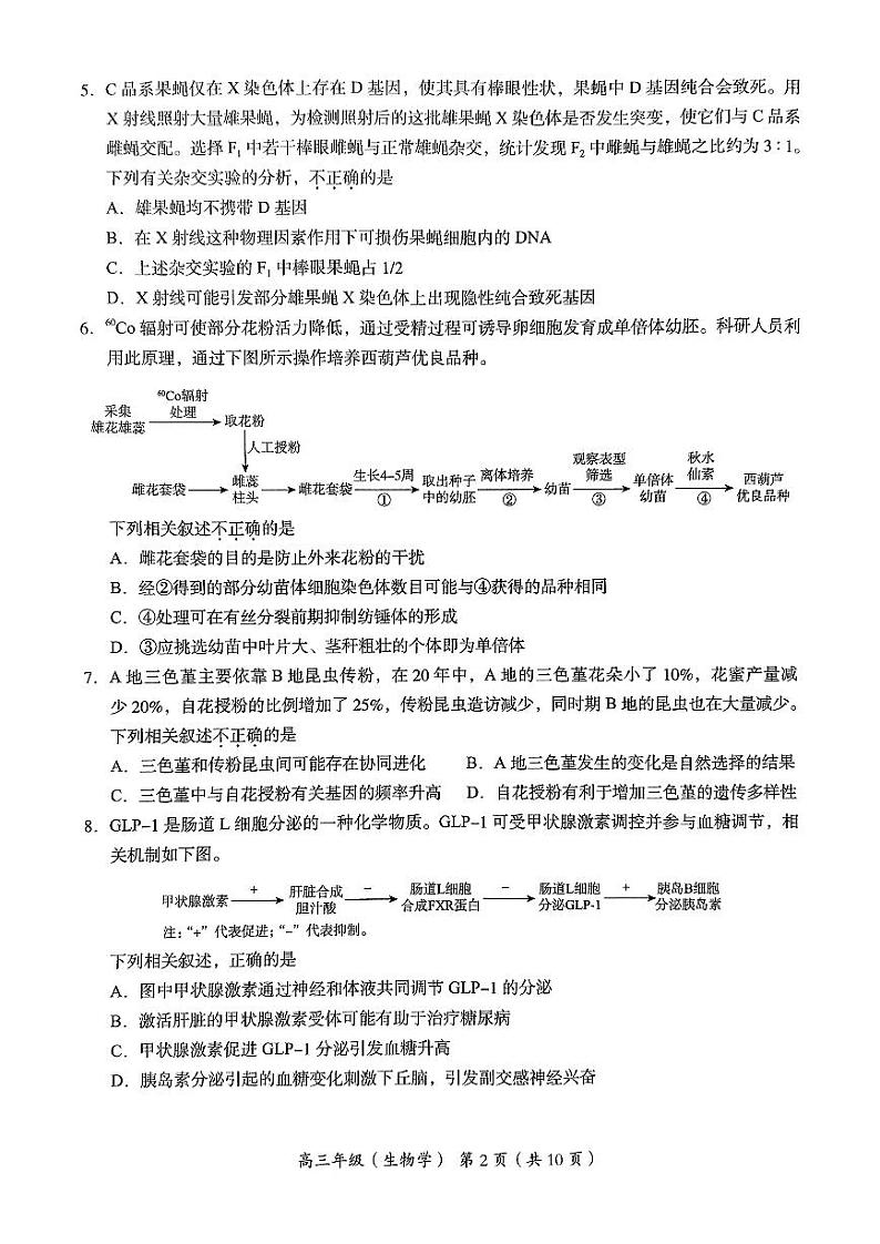 2024北京海淀高三一模生物试题及答案第2页