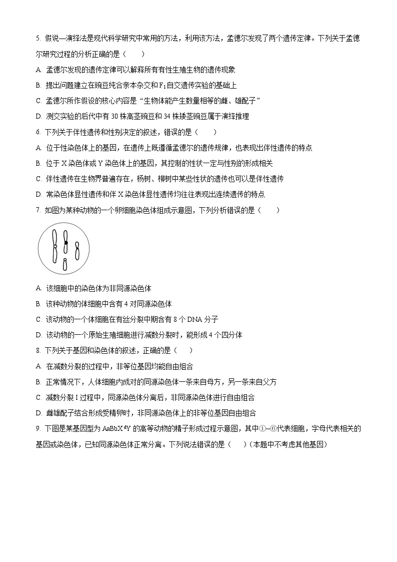 江苏省泰州市海陵区江苏省泰州中学2023-2024学年高一下学期4月期中生物试题（原卷版+解析版）02