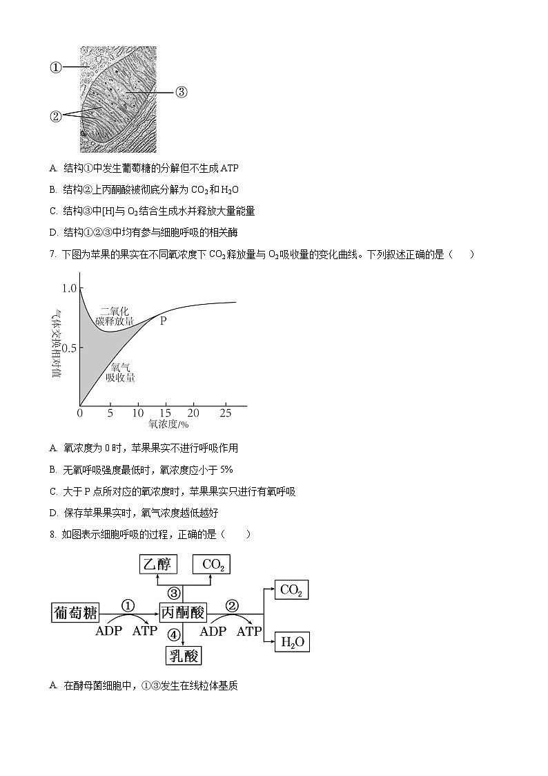 北京市顺义区第一中学2023-2024学年高一下学期3月月考生物试题(Word版附解析)02
