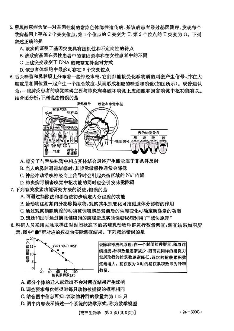 2024届广东省湛江市高三下学期二模考试生物试题02