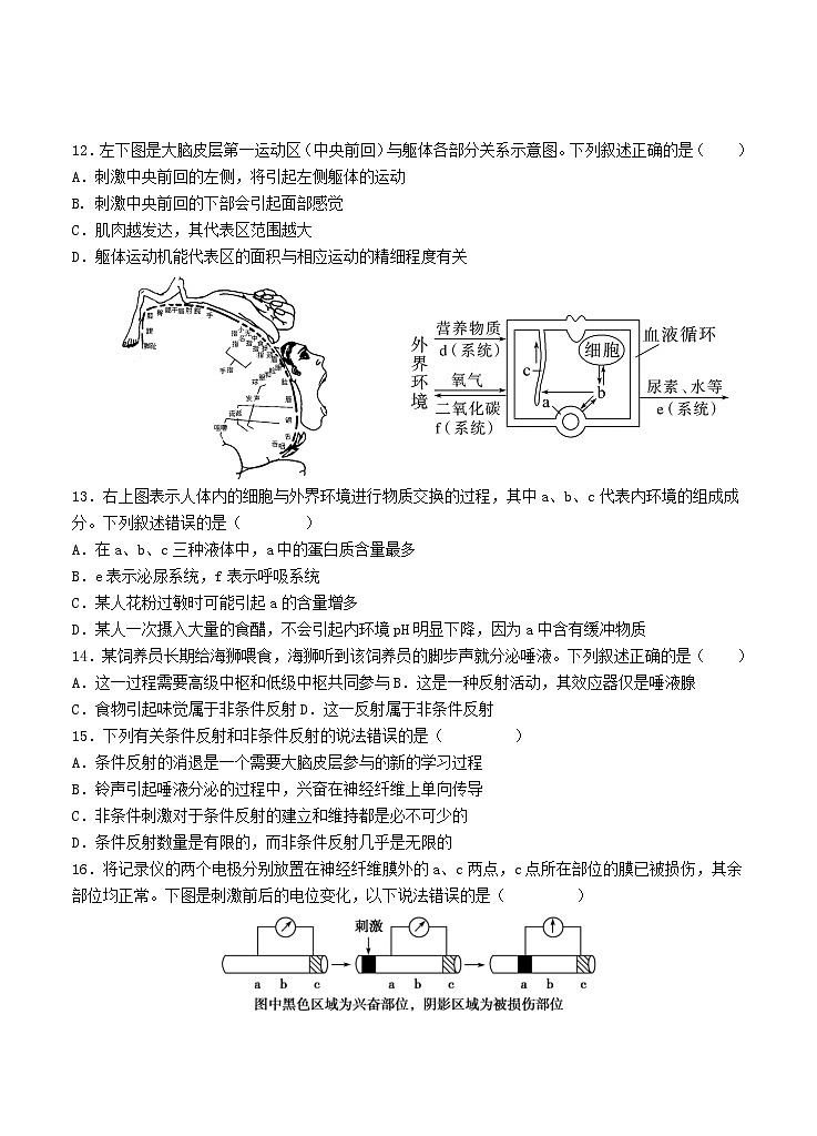 广东省汕头市2023_2024学年高二生物上学期10月阶段考试第3页