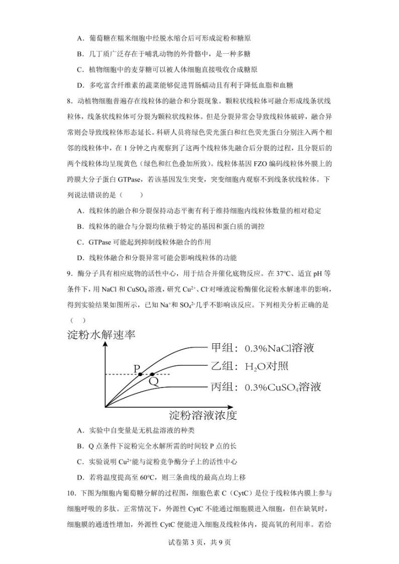 福建省莆田市2023_2024学年高三生物上学期期中试题pdf03