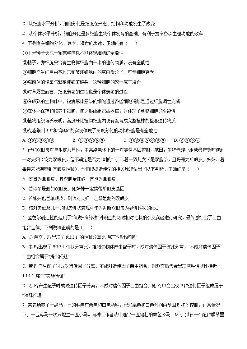 四川省遂宁市射洪市射洪中学校2023-2024学年高一下学期4月月考生物试题（原卷版+解析版）02