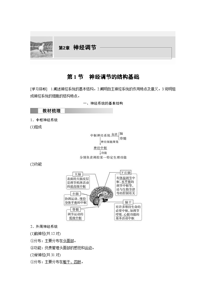 2024年高中生物新教材同步学案 选择性必修第一册 第2章 第1节 神经调节的结构基础(含解析)第1页