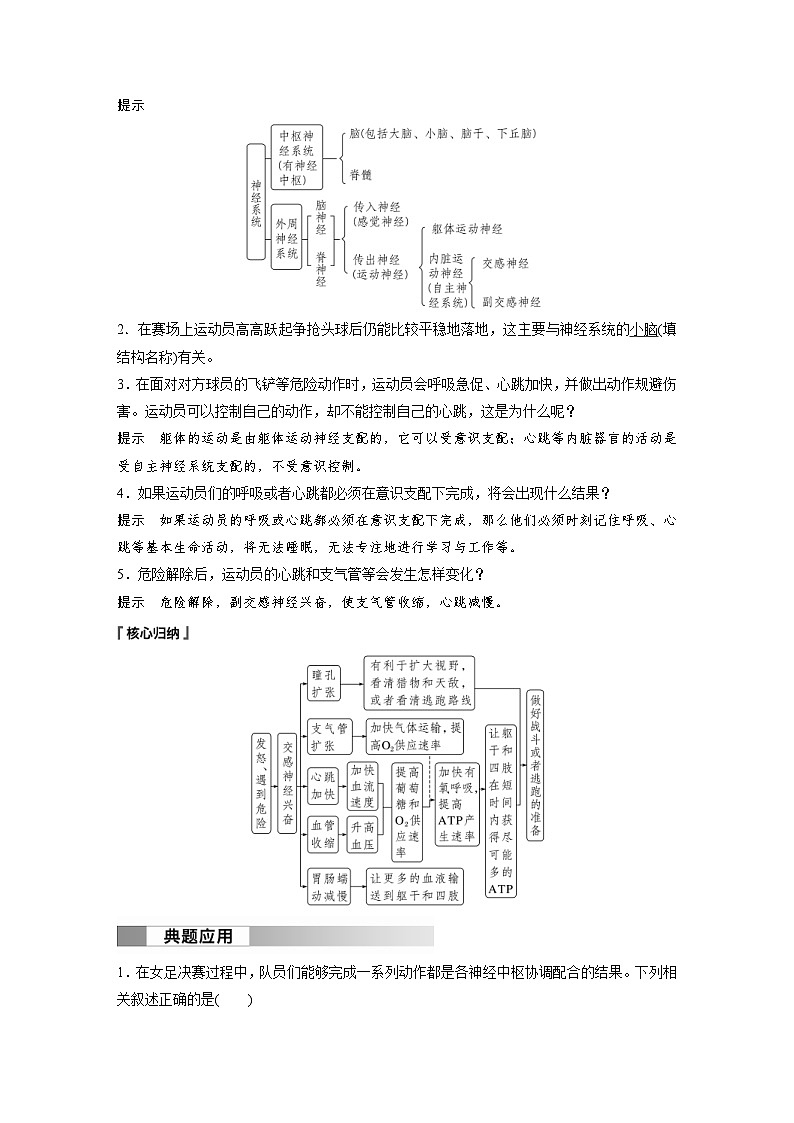 2024年高中生物新教材同步学案 选择性必修第一册 第2章 第1节 神经调节的结构基础(含解析)第3页